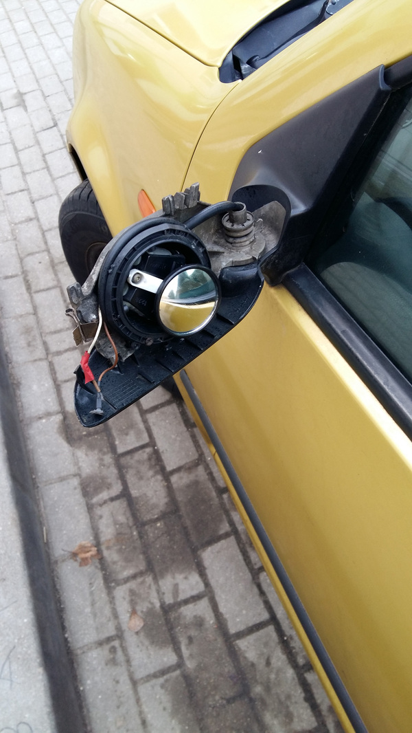 � � ���� �������