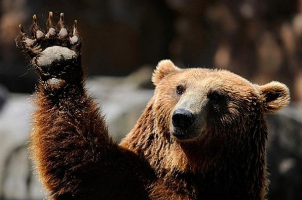 ���, �����.