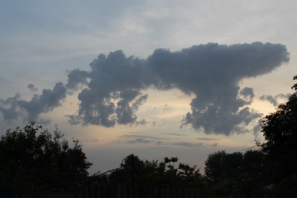 ������ � ������ ���������