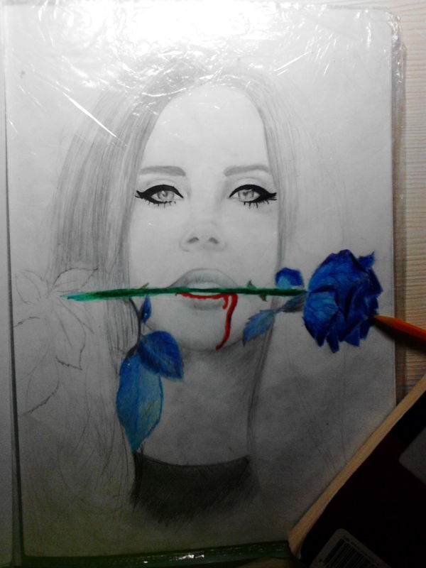 Lana Del Rey   , , ,  