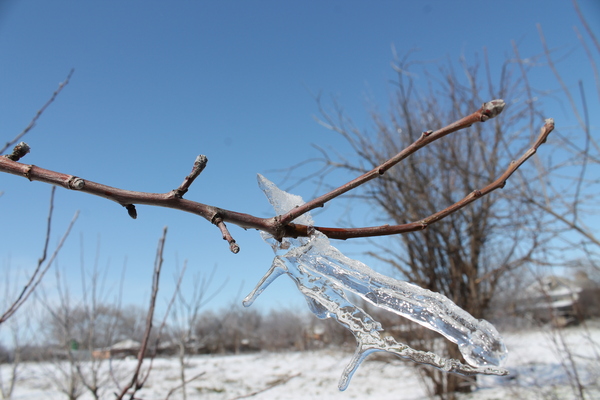 ����� �����, ����� � ��������.