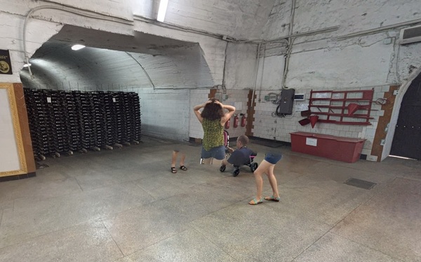 Панорамальные явления)