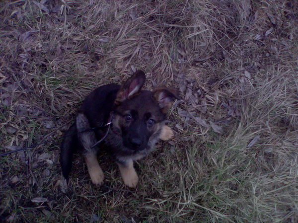 ������� ���� �������� �� 20-�����