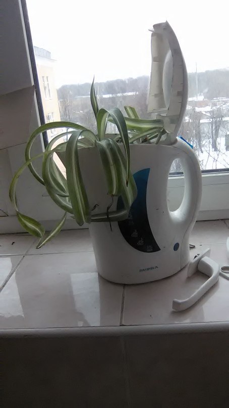 Декоративная ваза