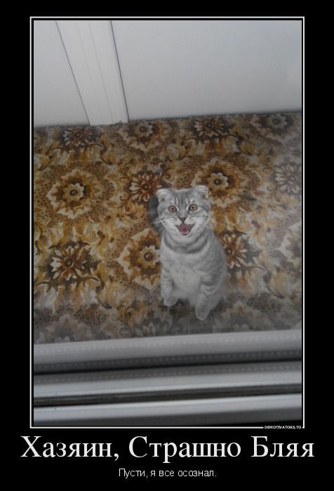 ���� �� �������