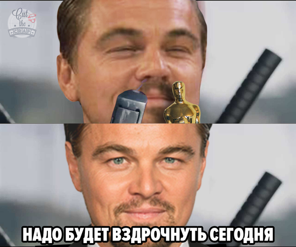 I'm touching myself tonight - Oscar, Leo and Oscar, Leonardo DiCaprio, Leo, Memes