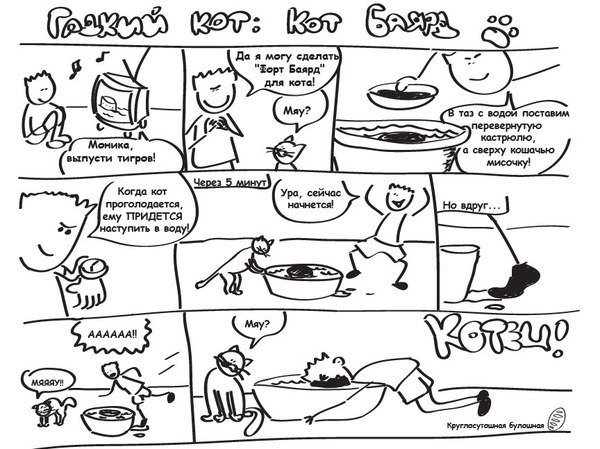 ���������� ������ � ������ ����