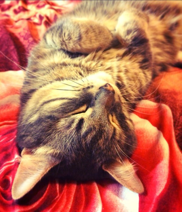 � ������! � ��� � ��� ������ �������.