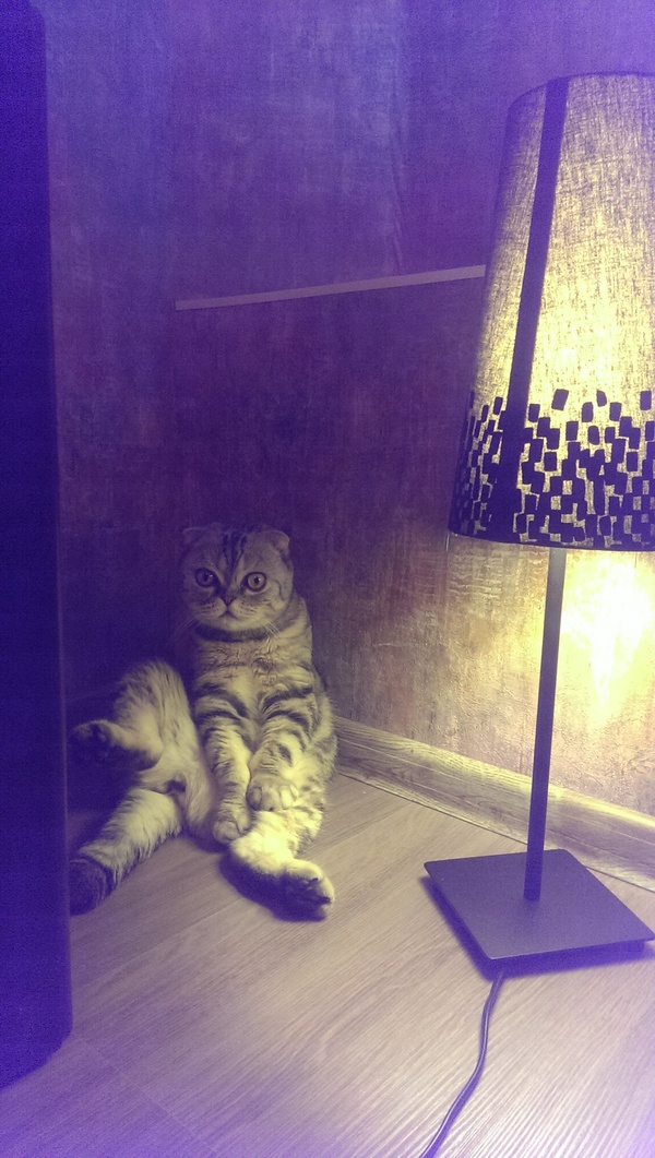 Настало время офигительных историй