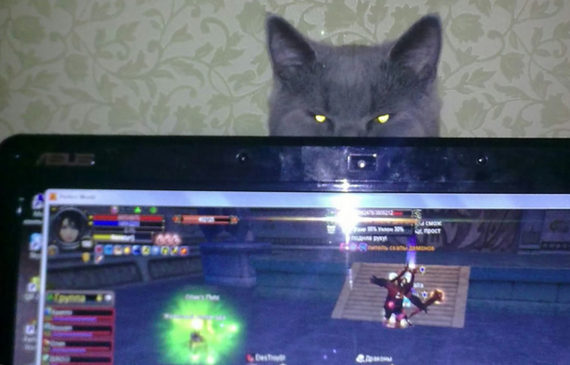 �� �������, ����� ���� ��� ����� �� ����������� ������� �����