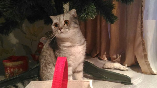 Раз пошла такая пьянка.