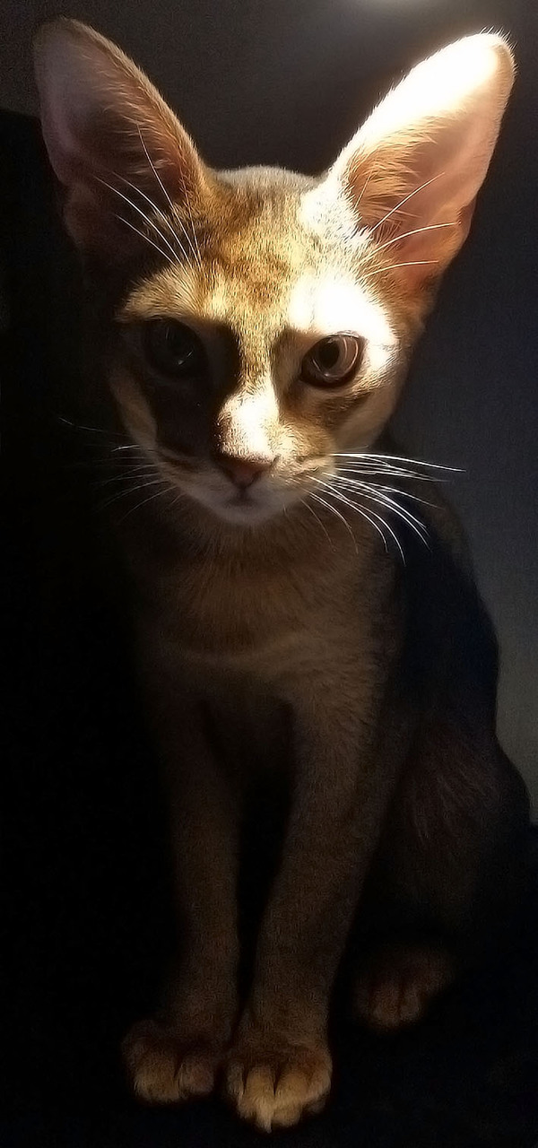 ������� ���� ���� � �����