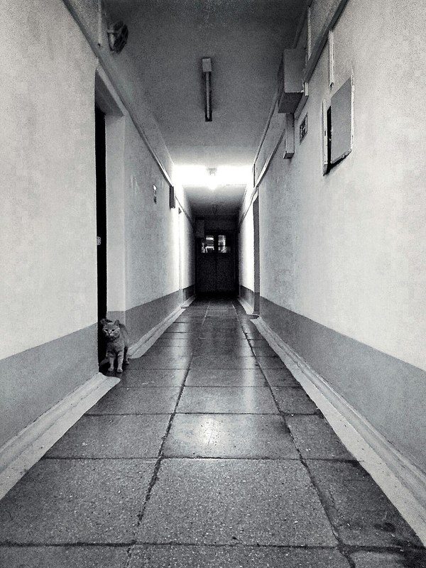 ������ ���. ������ � ������