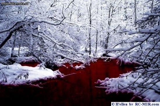 что такое кровавый дождь. Смотреть фото что такое кровавый дождь. Смотреть картинку что такое кровавый дождь. Картинка про что такое кровавый дождь. Фото что такое кровавый дождь