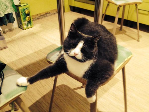 Ты что-то сказал?