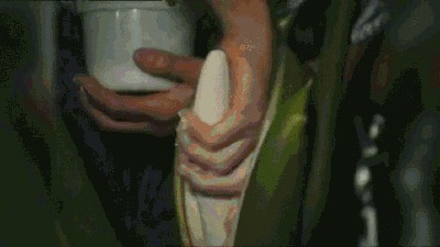  :) ,  , , 