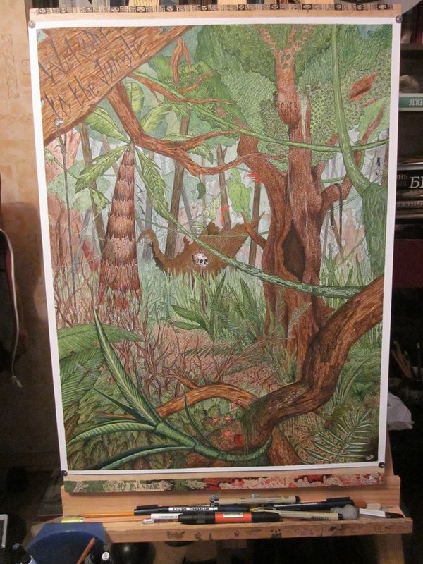 Welcome to the jungle