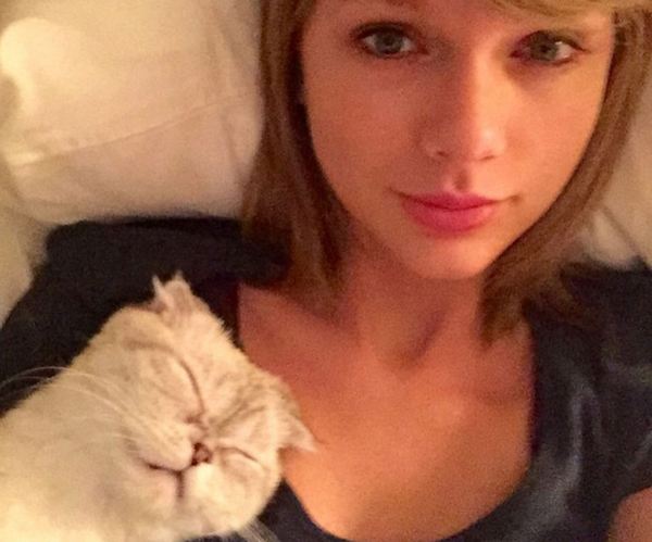 100 �����������, ������. ��� ��� ������ �� ����� ������