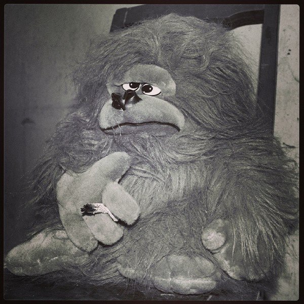 Плюшевый дагестанец