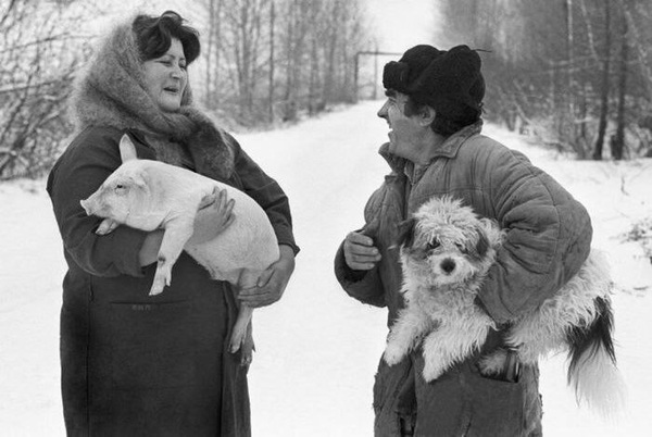Meeting of neighbors. Altai Territory, 1995. - Russia, The photo, Animals, People, Dog, Pig, Altai Republic