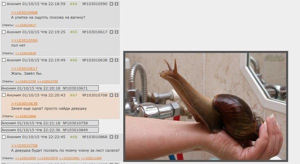 Snails-beauticians. Alternative application - NSFW, Perverts, Snail, Cosmetics, Achatina