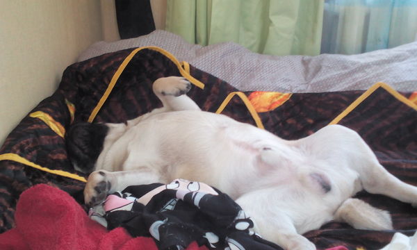 �������.