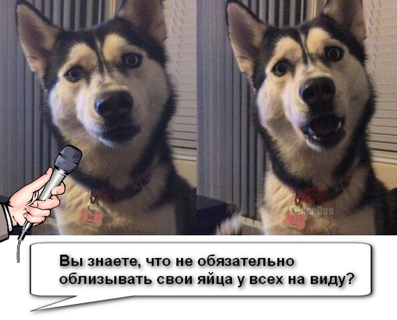 Недоумение | Пикабу