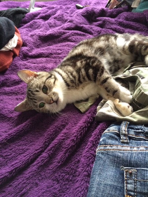 When after winter you can’t fit into any jeans ((( - cat, Girls, Bbw, , Photo, Fullness, Depressed