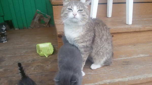 Гордая мама.