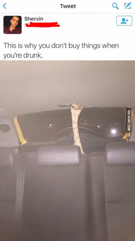 Вот почему я не хожу за покупками, когда пьян.