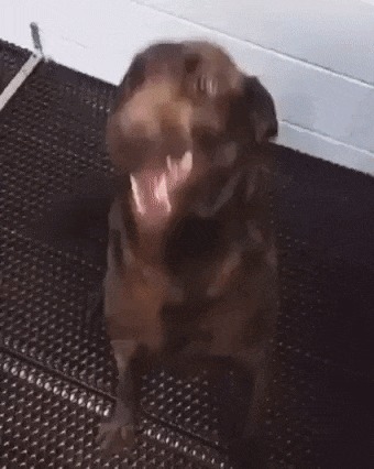 " -  , " , , 