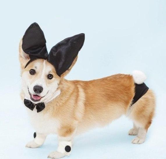 � �����!