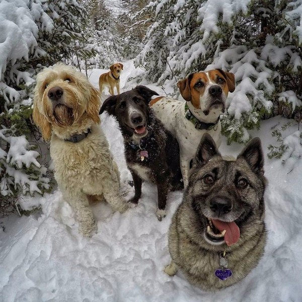 ���� ������