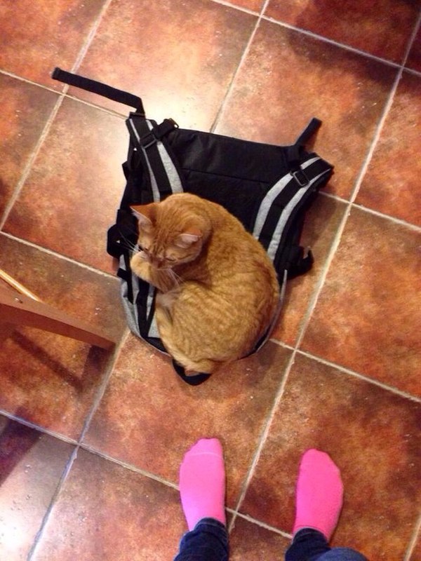 Подруга скинула и написала, что не пойдет на пары