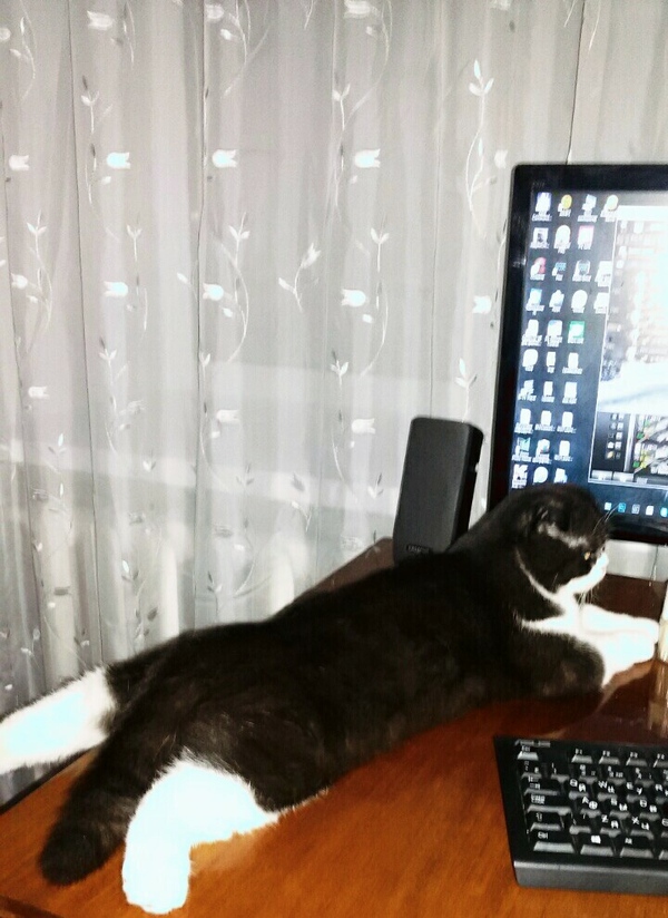 ��� ��� ������))