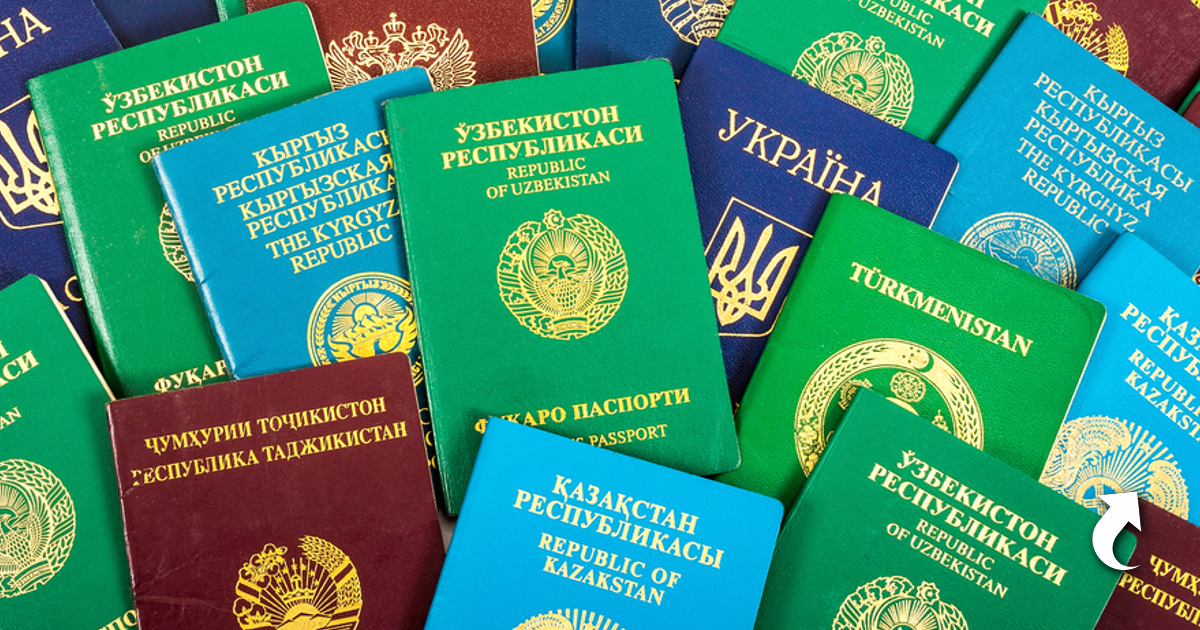 Иностранные граждане и лица без гражданства. Обложки паспортов разных стран. Примеры без гражданства
