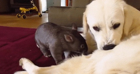 &quot;׸   ?!  ,  &quot;