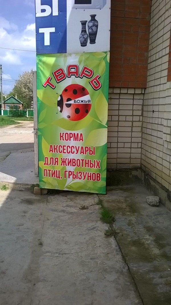 Еще одно творение богов маркетинга