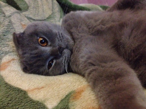 ������ ��� ������ �����. ������ ����������.