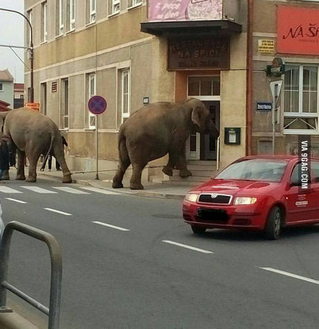 Минутка времени...