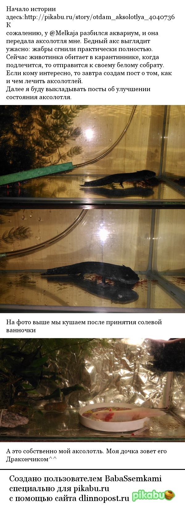 Спасение аксолотля