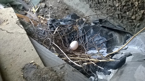 �� �������