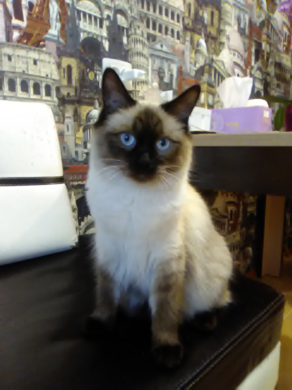 ��� � �����