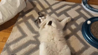    , ?