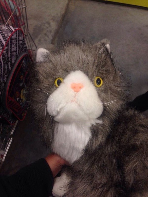 Вот такое чудо я нашла в магазине игрушек