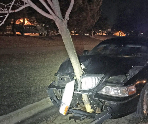 Полицейские в США остановили авто с деревом в капоте