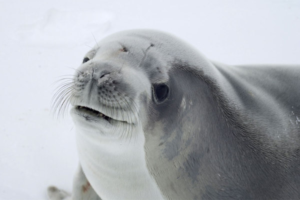 То чувство, когда в компании анекдот поняли все, кроме тебя...