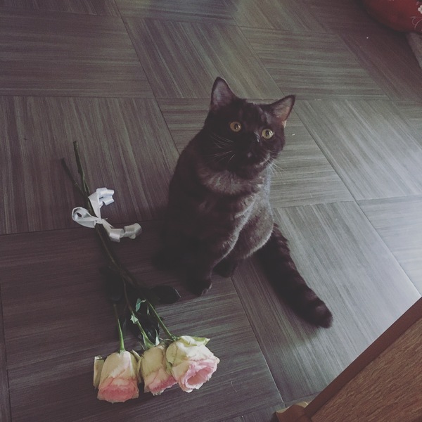 Тоже решил поздравить с 8 марта..