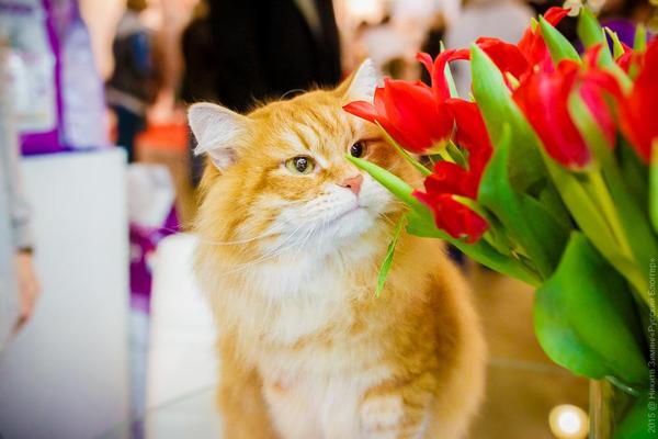 � 8 �����, ������!