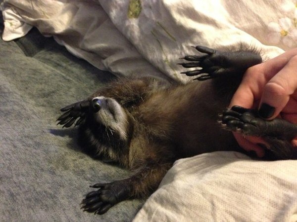 �����������...